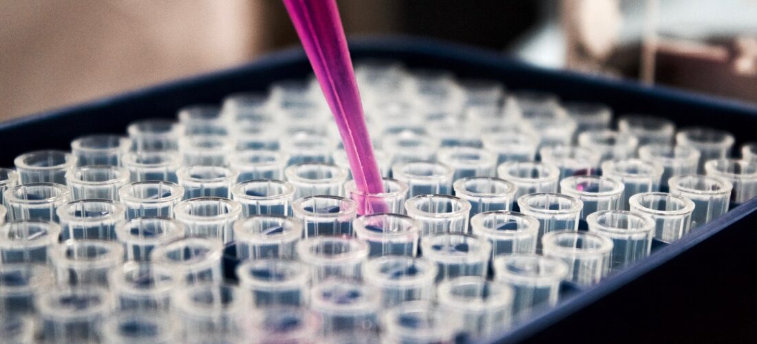 Gripe aviar: primer caso de contagio de persona en Latinoamérica: ¿es repetible la historia del Covid-19?