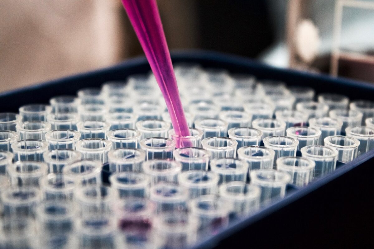 Gripe aviar: primer caso de contagio de persona en Latinoamérica: ¿es repetible la historia del Covid-19?