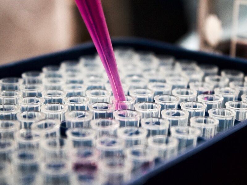 Gripe aviar: primer caso de contagio de persona en Latinoamérica: ¿es repetible la historia del Covid-19?