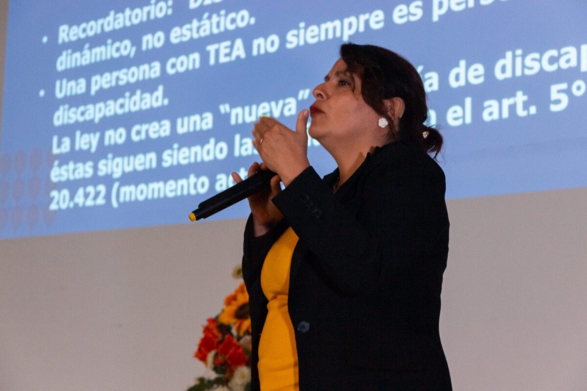 HABLEMOS DE AUTISMO: ANALIZAN ALCANCES DE LA NUEVA LEY TEA