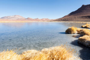 Universidades del norte se coordinan para fortalecer el sistema de Ciencia, Tecnología, Conocimiento e Innovación de la macrozona