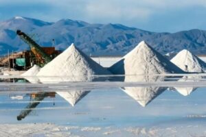 MINISTRA DE CIENCIA INSCRIBE ESTATUTOS PARA INSITUTO NACIONAL DE LITIO Y SALARES