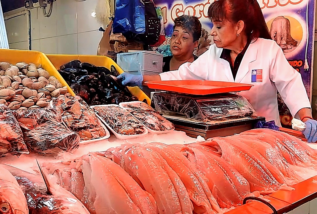 SALUD ADVIERTE POR AUMENTO DE ENFERMEDADES TRANSMITIDAS POR ALIMENTOS