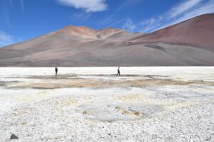 Salar de Ideas: Ciencia, microbios y colaboración se reúnen en un seminario único