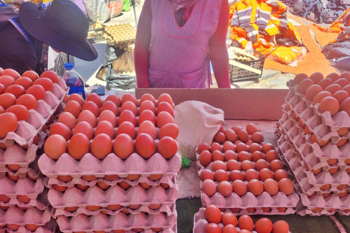 SALUD DECOMISA CASI MIL HUEVOS EN FERIA ROTATIVA DE CALAMA