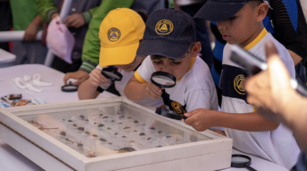 “De las neuronas al cosmos”: más de 100 actividades gratuitas darán vida al Festival de Ciencia Puerto de Ideas Antofagasta 2026
