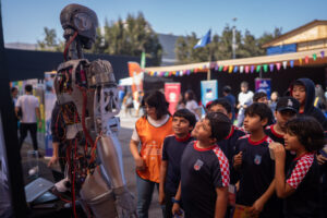 Neurociencia y cerebro protagonizarán el Festival Puerto de Ideas Antofagasta 2026
